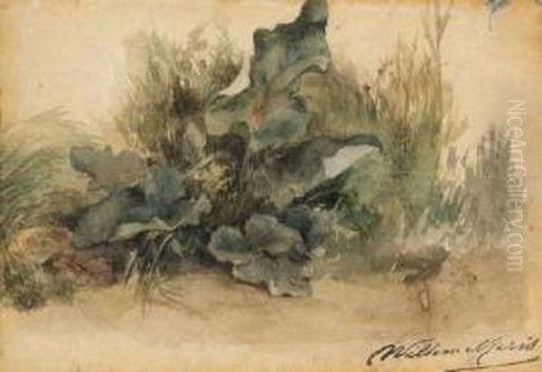 Study Of Foliage Oil Painting by Willem Maris