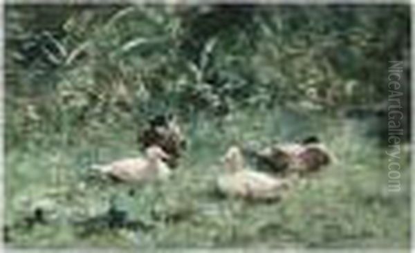 Ducks On The Waterfront Oil Painting by Willem Maris