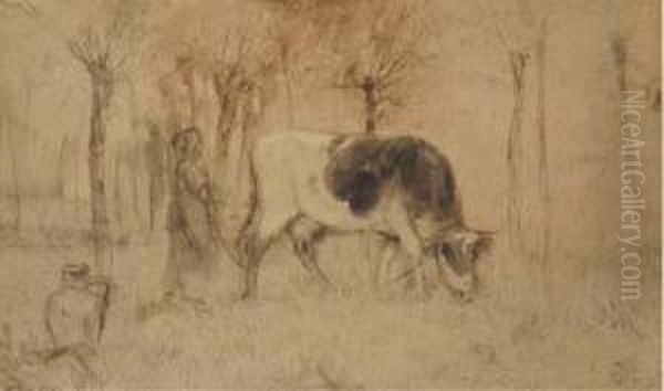 A Grazing Cow Oil Painting by Willem Maris