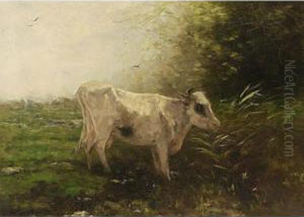 A Cow At Pasture Oil Painting by Willem Maris