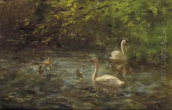 Swans And Their Young On A Pond Oil Painting by Willem Maris