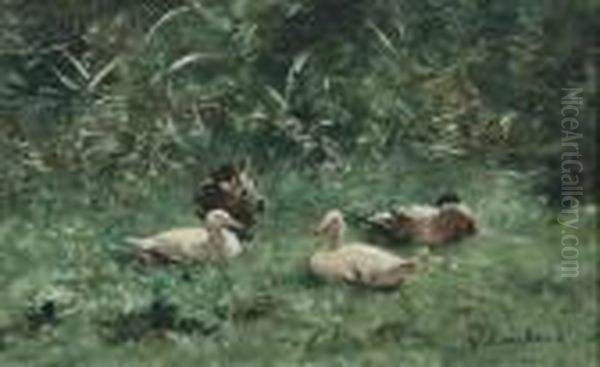 Ducks Resting In A Sunlit Meadow Oil Painting by Willem Maris