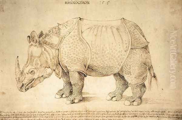 Rhinoceros 2 Oil Painting by Albrecht Durer