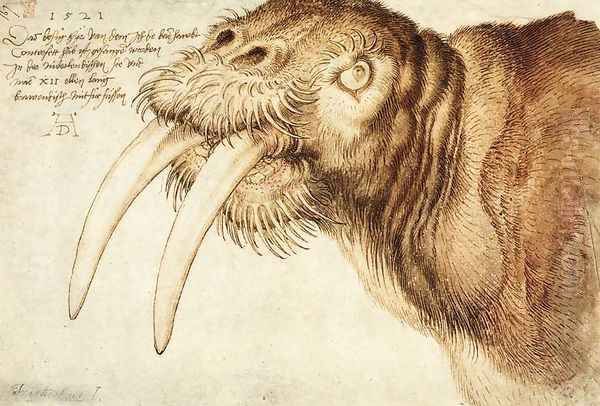 Walrus Oil Painting by Albrecht Durer