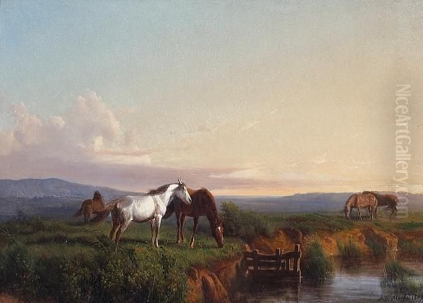 Horses At Pasture In An Extensive Landscape Near Pisa Oil Painting by Andras Markos