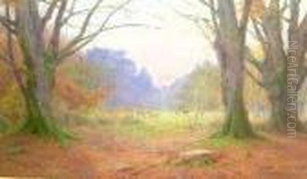 A Lawn In The New Forest Oil Painting by George Marks