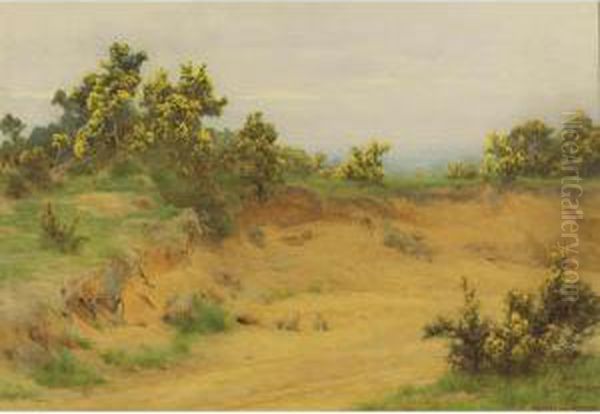 Three Rabbits In A Dry Riverbed Oil Painting by George Marks