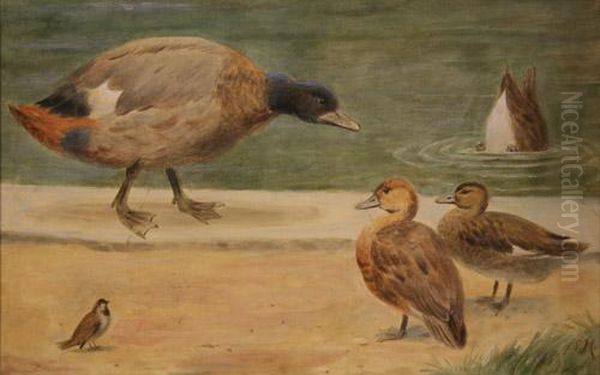 Study Of Ducks And A Sparrow At The Water's Edge Oil Painting by Henry Stacy Marks