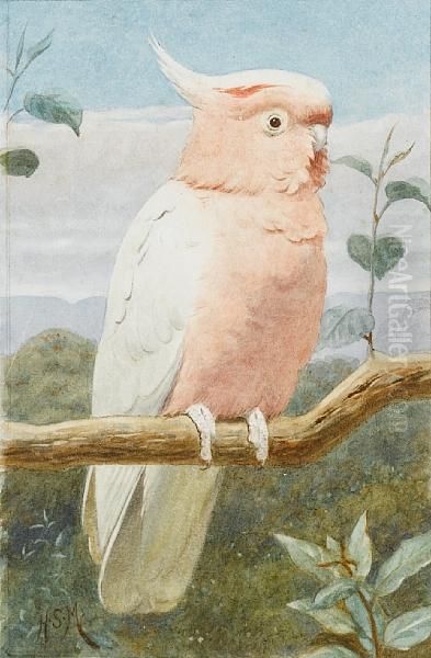 A Pink Cockatoo Oil Painting by Henry Stacy Marks