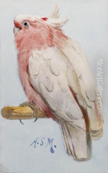 A Pair Of Leadbetter Cockatoos Oil Painting by Henry Stacy Marks