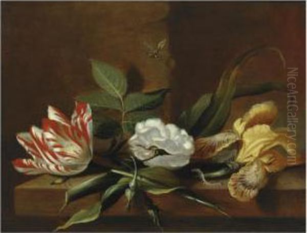 Still Life With A Yellow Iris, A
 Parrot Tulip, A White Rose Andinsects On A Wooden Table Ledge Oil Painting by Jacob Marrel