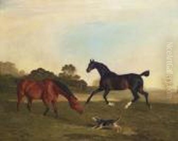 A Light Bay And A Brown Hunter In A Paddock Oil Painting by Benjamin Marshall