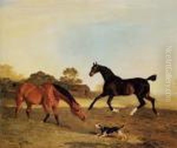 Light Bay And A Brown Hunter In A Paddock Startled By A Terrier Oil Painting by Benjamin Marshall