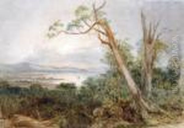 An Australian Coastal Landscape Oil Painting by Conrad Martens