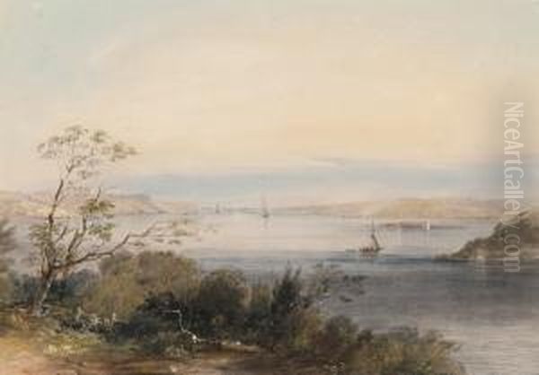 View Of The Sydney Heads From Point Piper Oil Painting by Conrad Martens