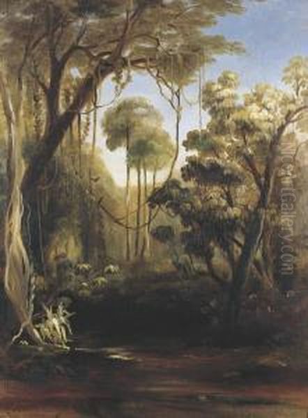 Forest Scene, Illawarra Oil Painting by Conrad Martens