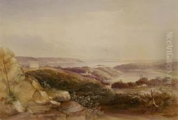 View From Craigend, Darlinghurst Oil Painting by Conrad Martens