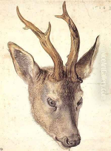 Head of a Stag 2 Oil Painting by Albrecht Durer