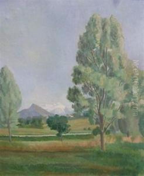 Vue Du Mont-blanc Dans La Campagne Genevoise Oil Painting by Eugene Louis Martin