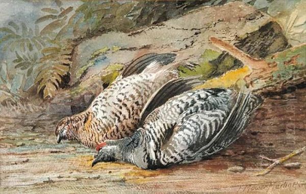 A Brace Of Partridge Oil Painting by Thomas Mower Martin