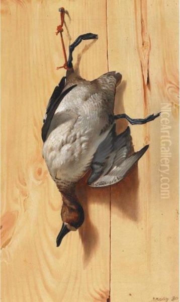 Widgeon Oil Painting by Thomas Mower Martin