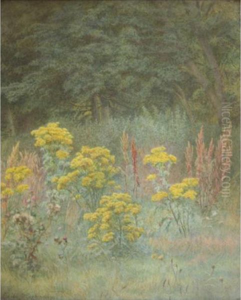 Ragwort In All His Glory Oil Painting by Edith Martineau