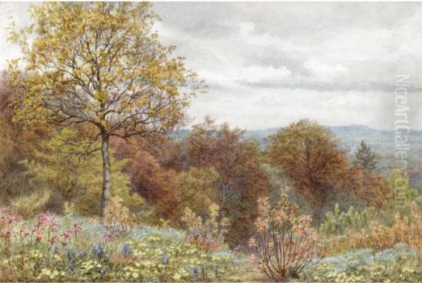 A Copse On The Slope Of Blackdown, Dorsetshire Oil Painting by Edith Martineau