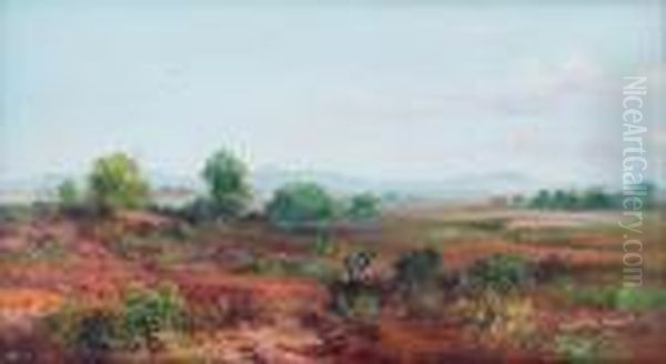 Paisaje Oil Painting by Isidro Martinez Colin