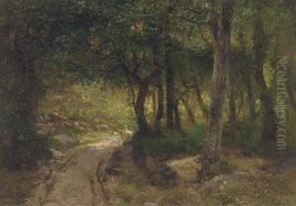 A Track Running Through A Sunlit Glade Oil Painting by Francisco Masriera y Manovens