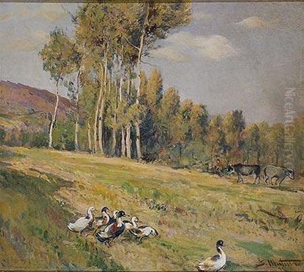 Paisaje Con Patos Oil Painting by Segundo Matilla Y Marina