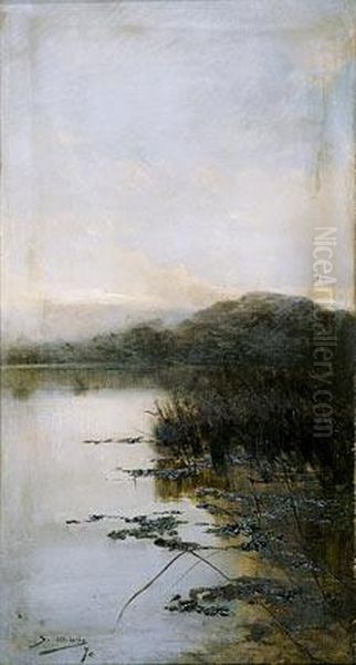 Laguna. Oil Painting by Segundo Matilla Y Marina