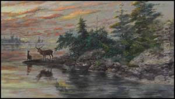 Deer At A Lakeshore Oil Painting by Marmaduke Matthews