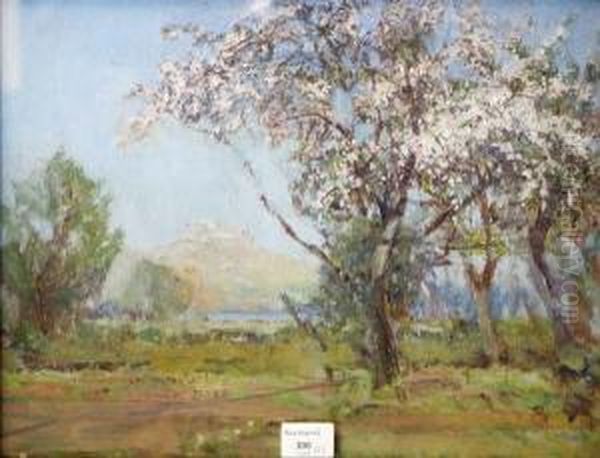 Cherry Blossom Oil Painting by Walter McAdam