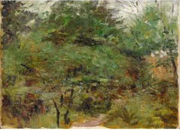 Wattle Study Oil Painting by Frederick McCubbin