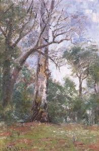 Bush Study, Macedon Oil Painting by Frederick McCubbin