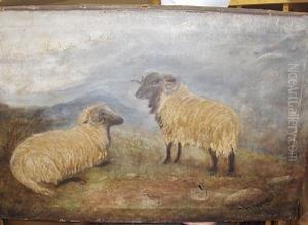 Sheep In Moorland Oil Painting by Horatio McCulloch