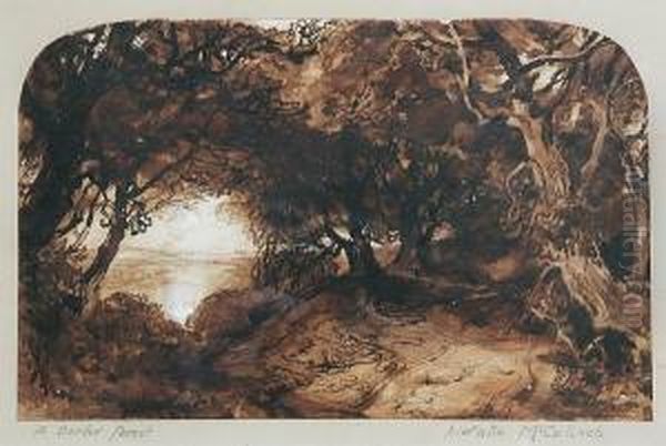 A Border Forest Oil Painting by Horatio McCulloch