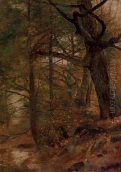 A Grove Of Trees, Ashokan, New York Oil Painting by Jervis McEntee