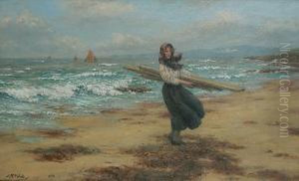 Driftwood Oil Painting by John Mcghie