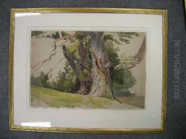 The Old Oak Tree Oil Painting by David Hall McKewan