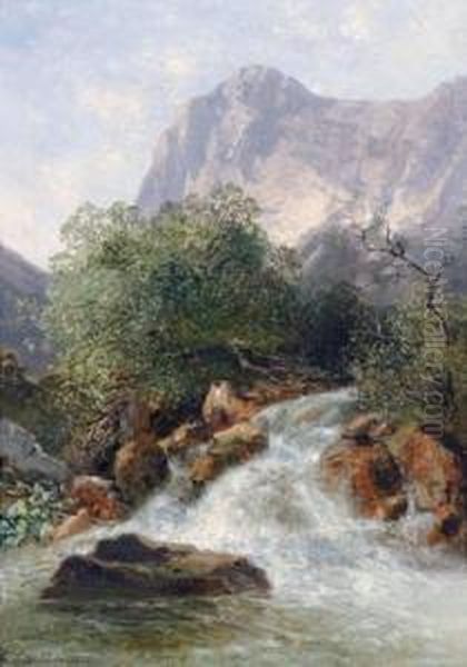 Mountain Torrent Oil Painting by Emilie Mediz-Pelikan