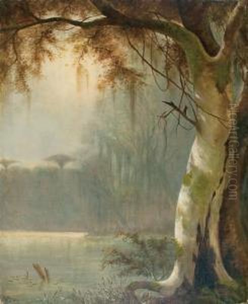 On The Banks Of A Louisiana Bayou Oil Painting by Joseph Rusling Meeker