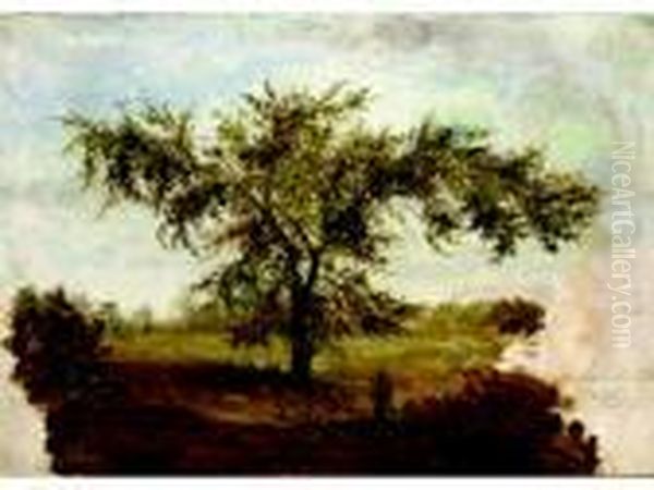 Tree Study, October 8th Oil Painting by Joseph Rusling Meeker