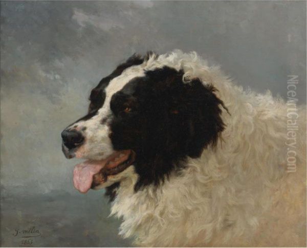 A Mountain Dog Oil Painting by Joseph Urbain Melin