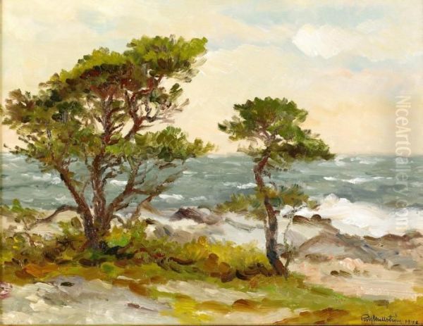 Tallar Vid Havet - Toro Stenstrand Oil Painting by Rolf Mellstrom