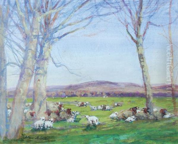 Sheep Resting Oil Painting by Arthur Melville