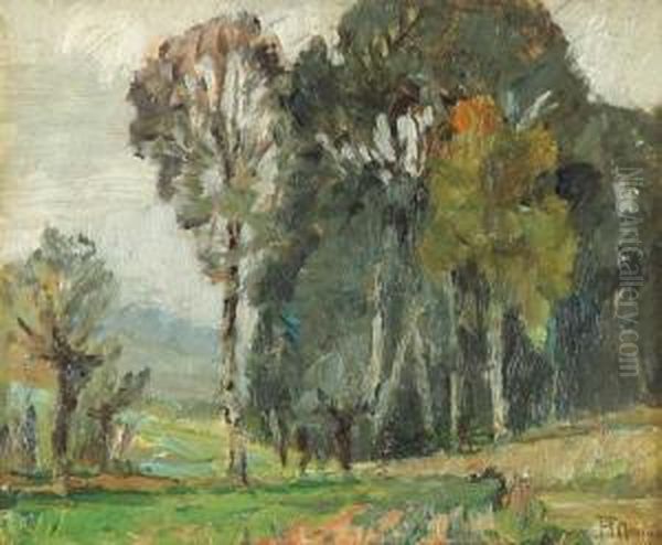 Collina Torinese Oil Painting by Francesco Mennyey