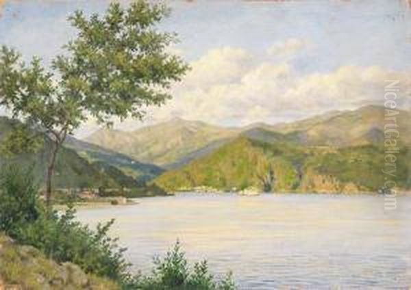 Paesaggio Sul Lago Oil Painting by Camillo Merlo