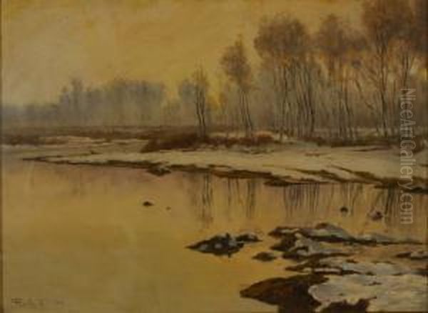 Riflessi Invernali Oil Painting by Camillo Merlo