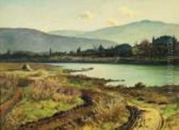 Autunno Lungo Il Fiume Po Oil Painting by Camillo Merlo